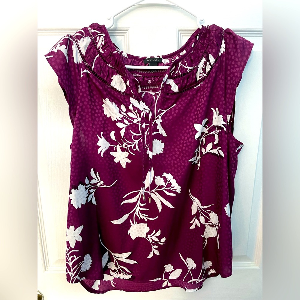 Ann Taylor Sheer Blouse